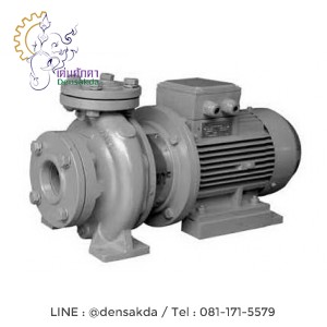 **ปั๊มน้ำสแตค Stac Water pump รุ่น NF2-40-16/750 **ปั๊มน้ำสแตค Stac Water pump รุ่น NF2-40-16/750