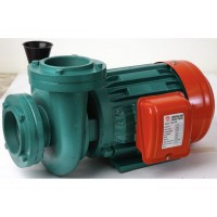 ปั๊มน้ำ water pump - **ปั๊มน้ำหอยโข่ง CHI PEN 2 นิ้ว รุ่น RJ-170