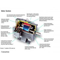 มอเตอร์ มิตซูบิชิ mitsubishi - ***มอเตอร์ มิตซูบิชิ 1 แรงม้า :SF-JR-1HP-4P