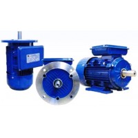 มอเตอร์ มุลเลอร์ muller - **มอเตอร์มุลเลอร์ Muller Motor 75 แรงม้า 2 โพล แบบหน้าแปลน B5 QY2 QY2B