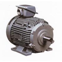 **มอเตอร์ฮิตาชิ HITACHI 7.5 แรงม้าไฟ 3 เฟส รุ่น 7.5 TFO-KK (DK)