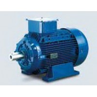 **มอเตอร์เมอร์รารี่ Marelli 0.33 HP รุ่น MAA 71A4