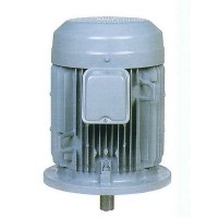 สินค้ามาใหม่ - มอเตอร์ฮิตาชิ Hitachi แบบหน้าแปลน 5 แรงม้า รุ่น 5 VTFO-K(DK)(L)